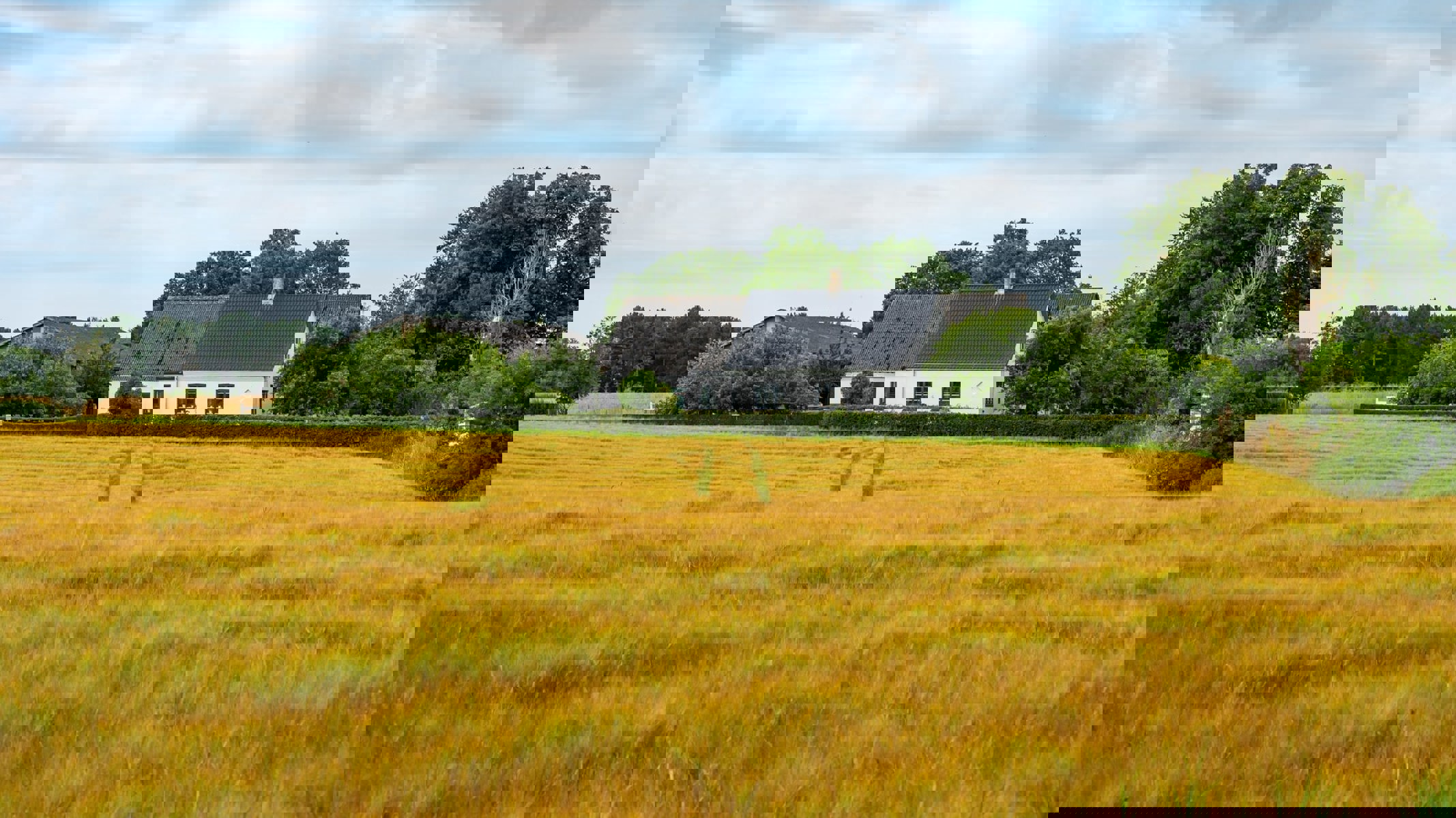 Husk at få styr på forsikringen, når du køber et nedlagt landbrug